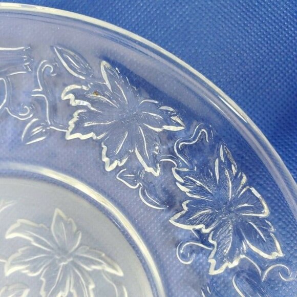 Princess House Fantasia Frosted Plate | Elegant and Timeless Design - Picture 8 of 12